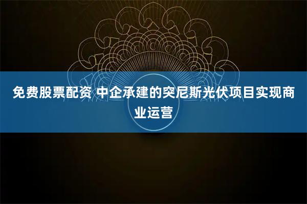 免费股票配资 中企承建的突尼斯光伏项目实现商业运营
